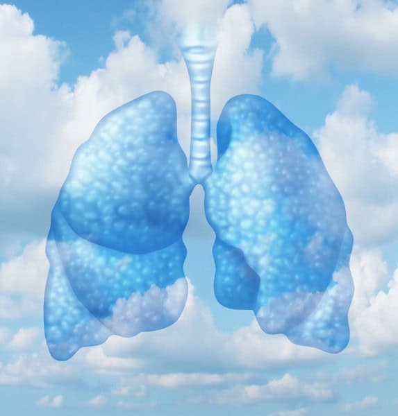 The Impact of Air Quality On Lungs